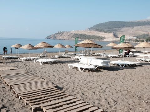 Shots from the Beach